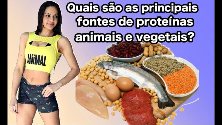 Fontes de Prote&iacute;na: Guia Completo