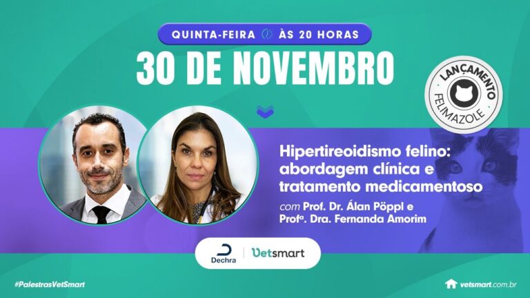 Alimenta&ccedil;&atilde;o para gatos com hipertireoidismo: Guia completo