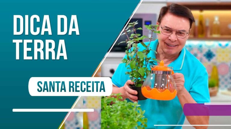O Melhor Ch&aacute; para Refluxo