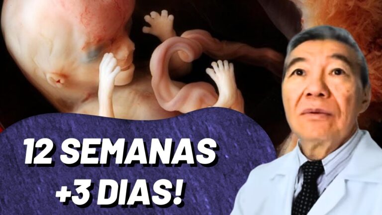 Entendendo a Gravidez aos 12 Semanas e 5 Dias