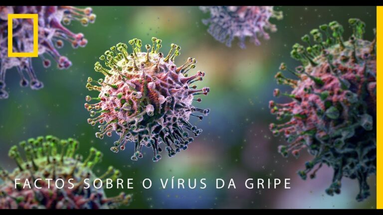 Gripe Water em Portugal: Benef&iacute;cios e Usos