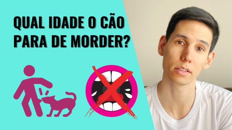 Quando os Cachorros Parar&atilde;o de Morder?
