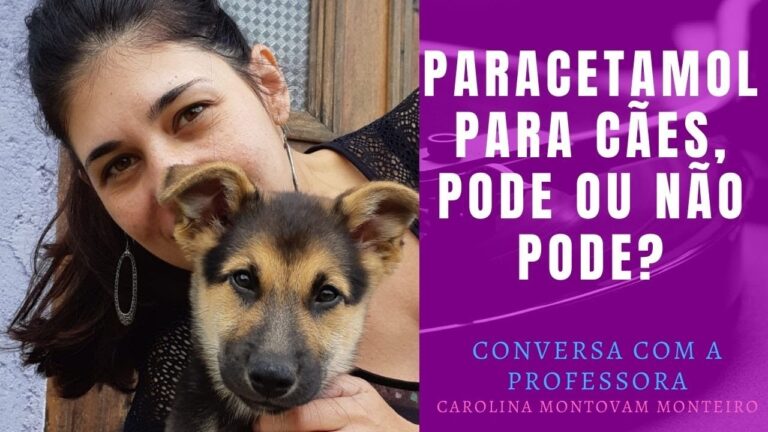 Dosagem Segura de Paracetamol para C&atilde;es