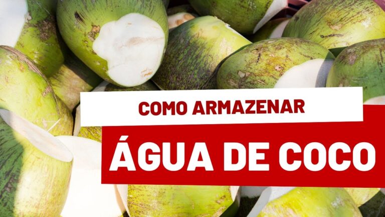T&eacute;cnicas Eficazes para Conservar &Aacute;gua de Coco