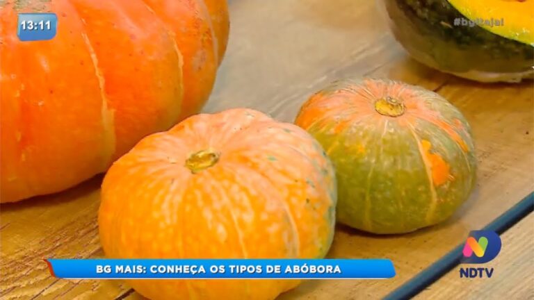 Diversidade de Tipos de Abóbora e Seus Usos