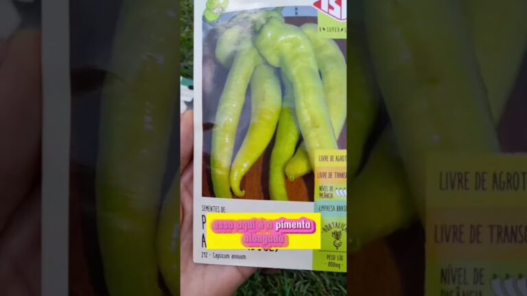 Explorando os Tipos de Malaguetas e Seus Usos