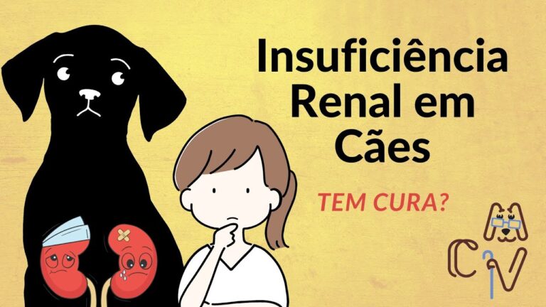 Cachorro com Insufici&ecirc;ncia Renal: Sintomas de Dor e Cuidados Necess&aacute;rios