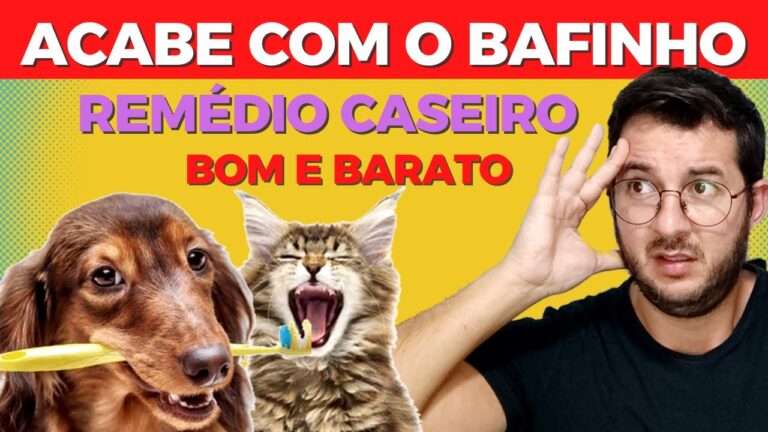 Gengivite em Cães: Causas, Sintomas e Tratamentos Eficazes