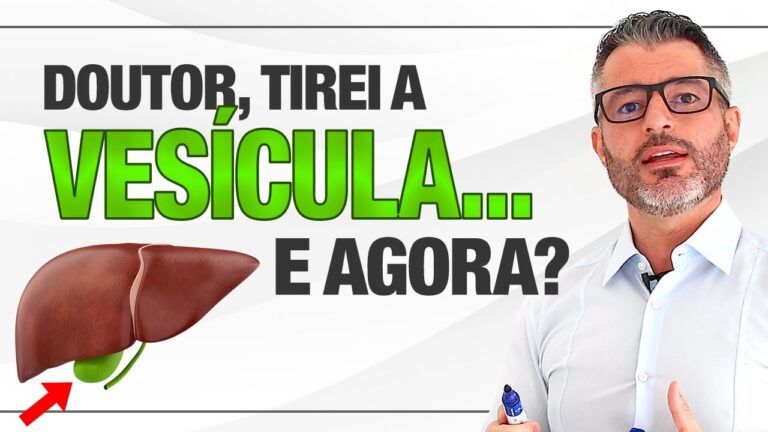 A Fun&ccedil;&atilde;o da Ves&iacute;cula Biliar e Sua Import&acirc;ncia para a Digest&atilde;o