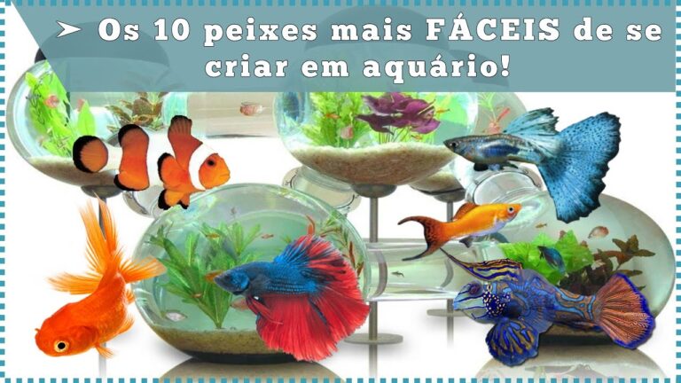 Guia Pr&aacute;tico de Peixes de &Aacute;gua Quente para Iniciantes
