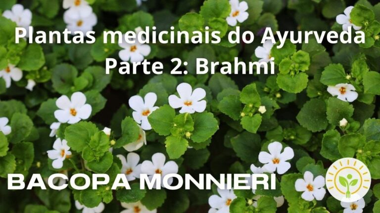 Contraindicações da Medicina Ayurvédica: O Que Você Precisa Saber