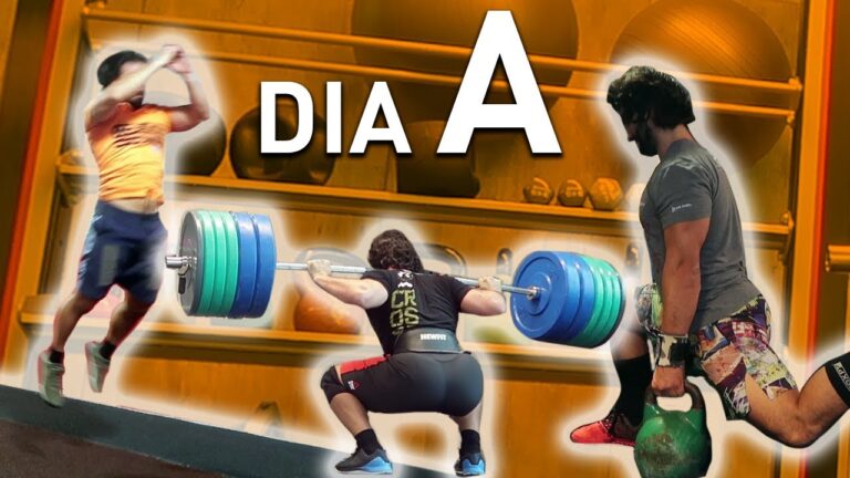 Guia Completo de Planos de Treino para Ginásio