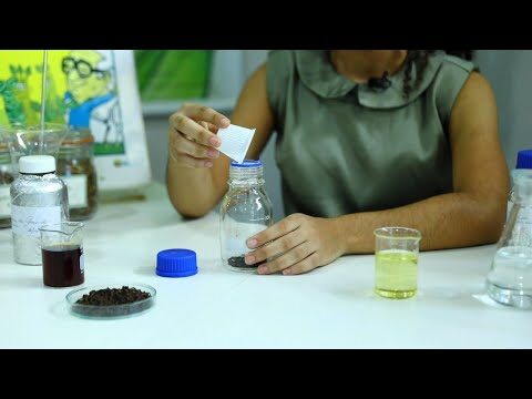 Dicas Eficazes para Afastar Melgas no Quarto