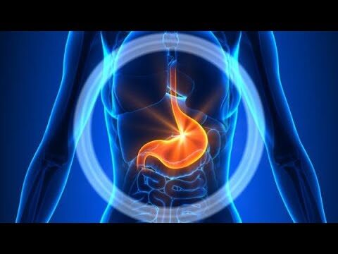 Entendendo a Paragem Digestiva: Causas e Solu&ccedil;&otilde;es