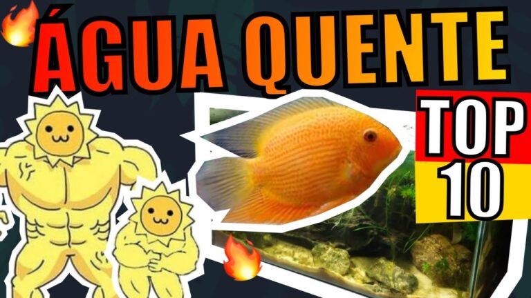 Guia Completo sobre Peixes de &Aacute;gua Quente Doce