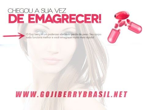 Goji: O Segredo das Bagas para Emagrecer