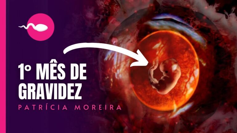 Entendendo a Ecografia na 1ª Semana de Gravidez