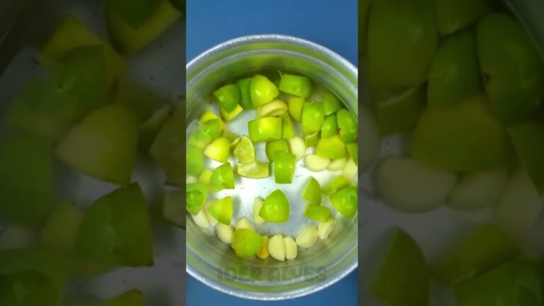 Receitas R&aacute;pidas para Emagrecimento Eficiente