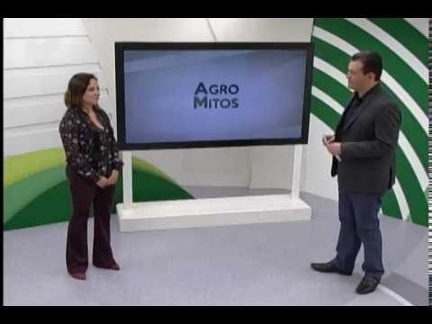 Benef&iacute;cios do Leite Sem Lactose para a Sa&uacute;de