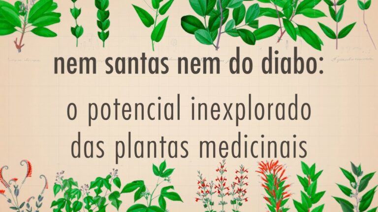 Erva do Diabo: Benef&iacute;cios e Usos na Medicina Tradicional