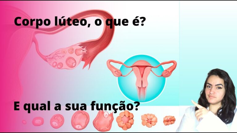 Corpo Lúteo no Ovário: Indício de Gravidez?